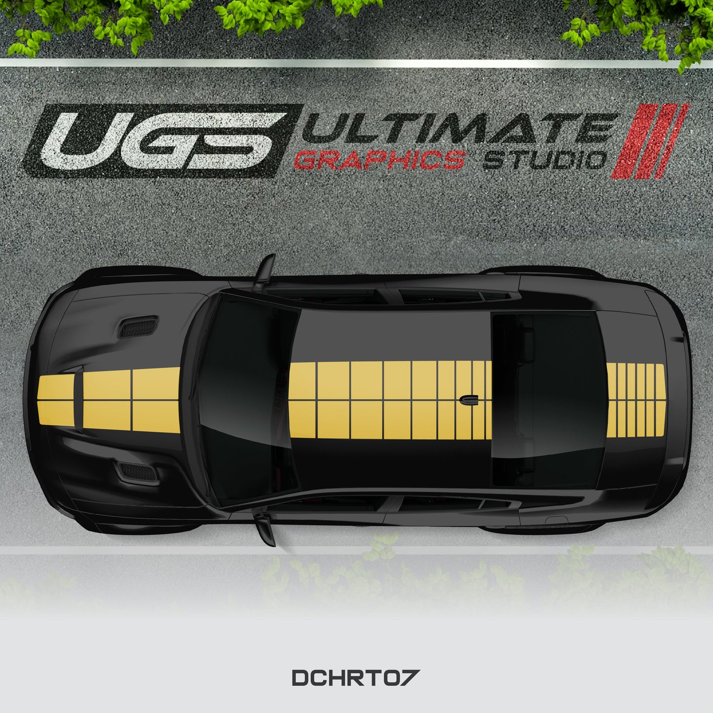Dodge Charger Top Graphics