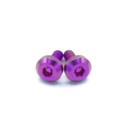 Titanium Hardware Fuel Door Kit - Dodge Charger (2015-2023)