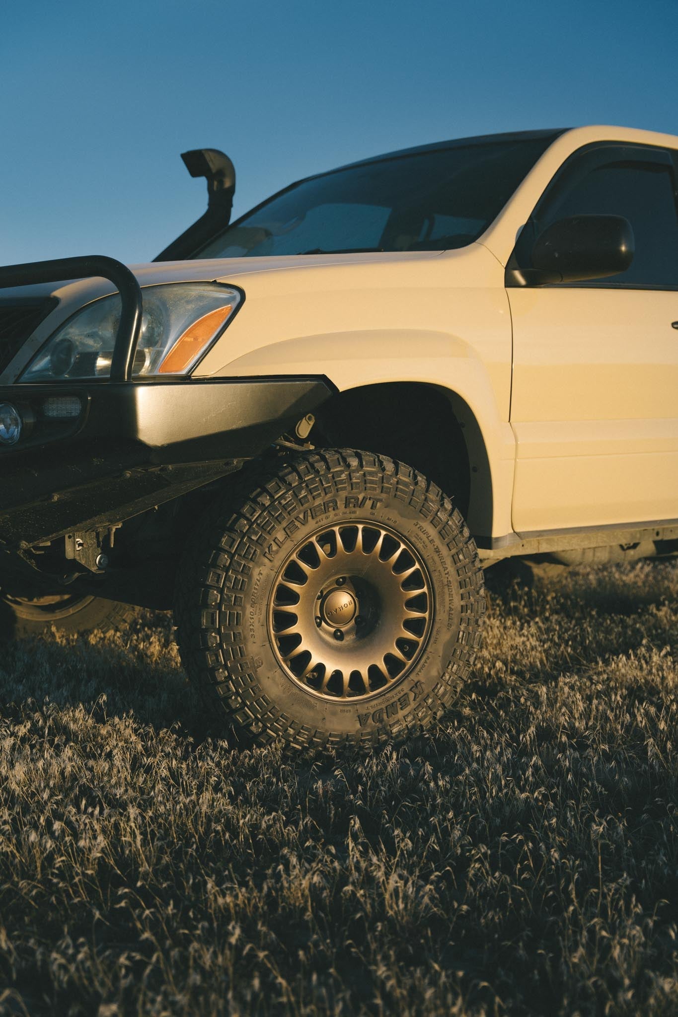 503CO Sahara Copperhead