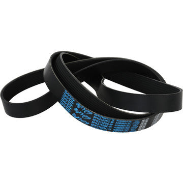 A080851SC DAYCO PRODUCTS LLC