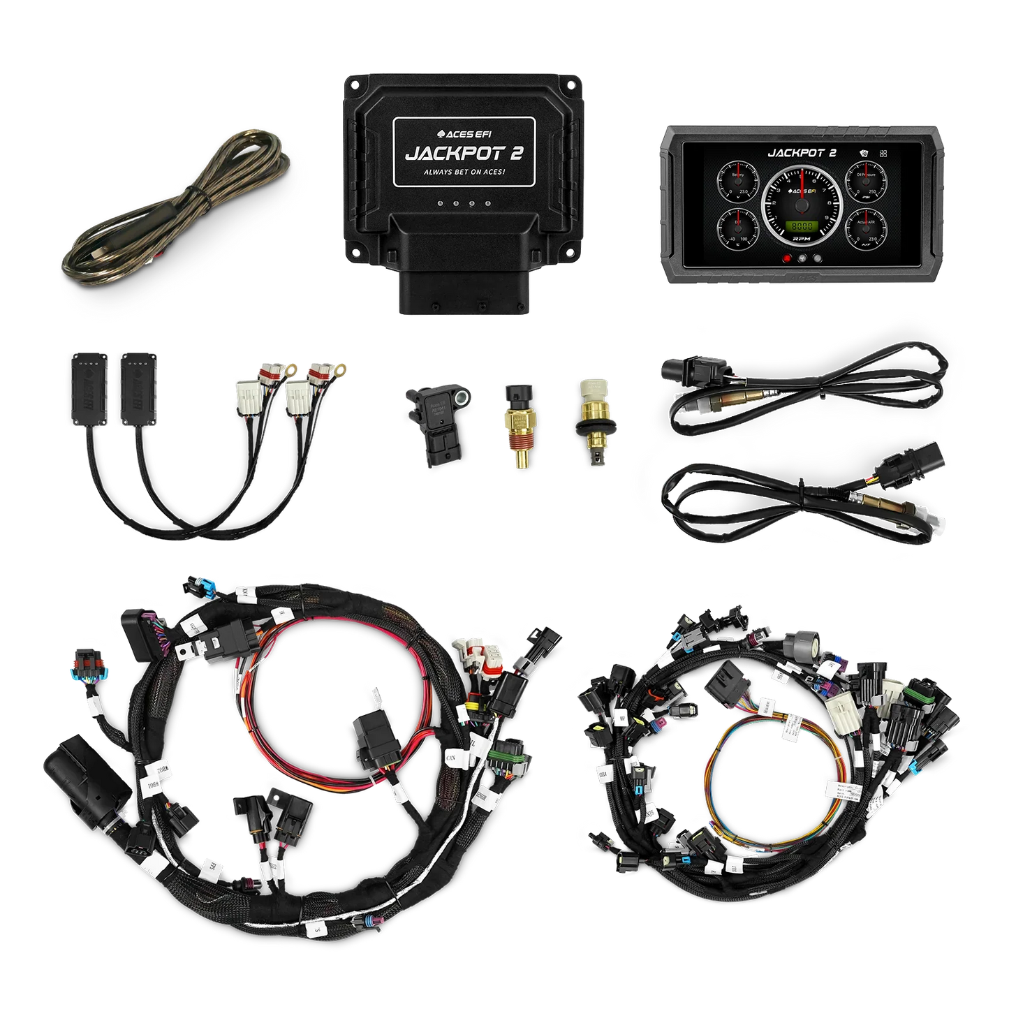 Jackpot 2 HEMI EFI System