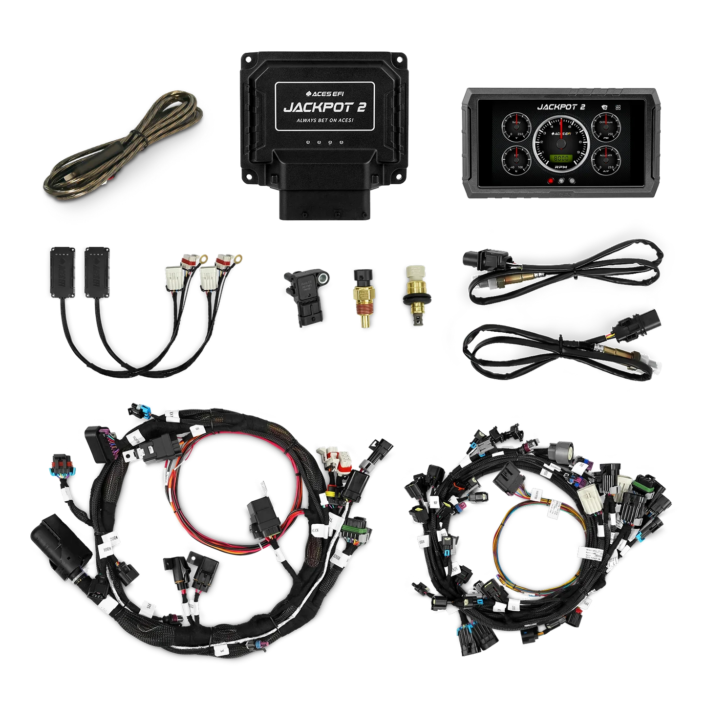 Jackpot 2 HEMI EFI System