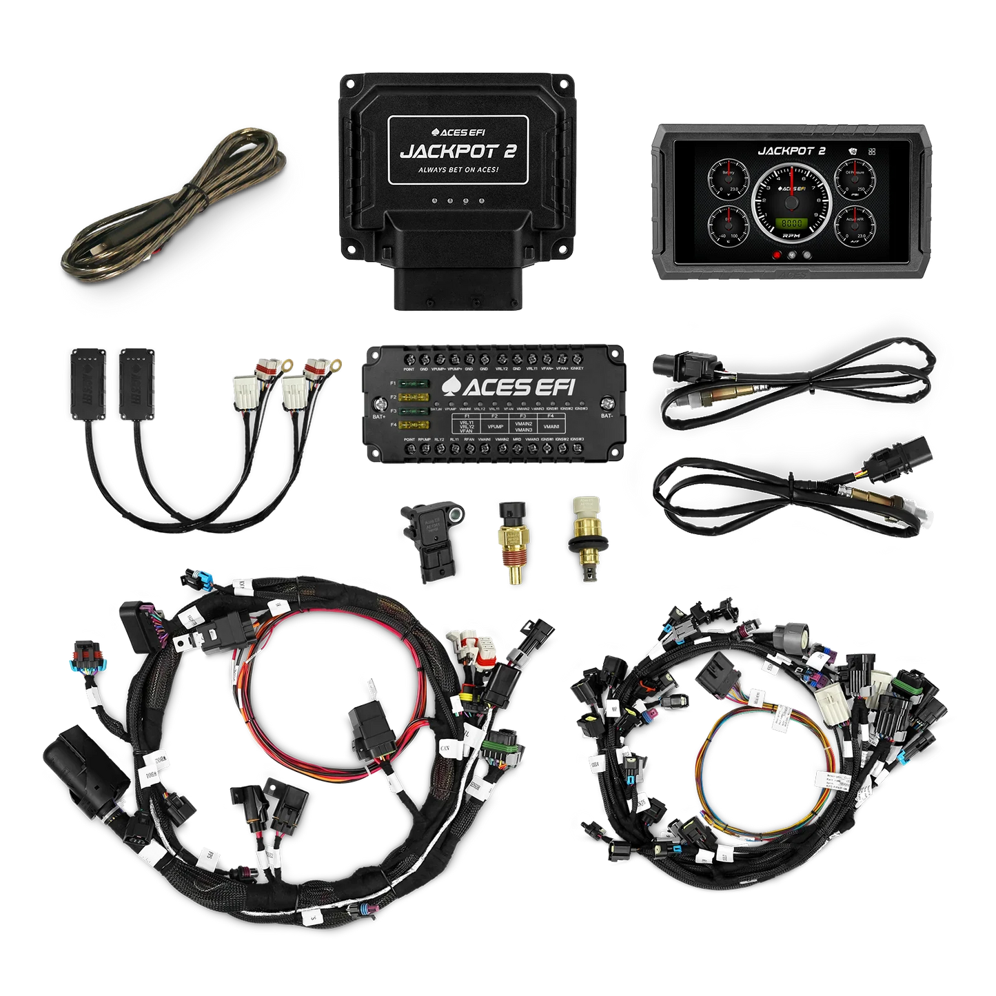 Jackpot 2 HEMI EFI System