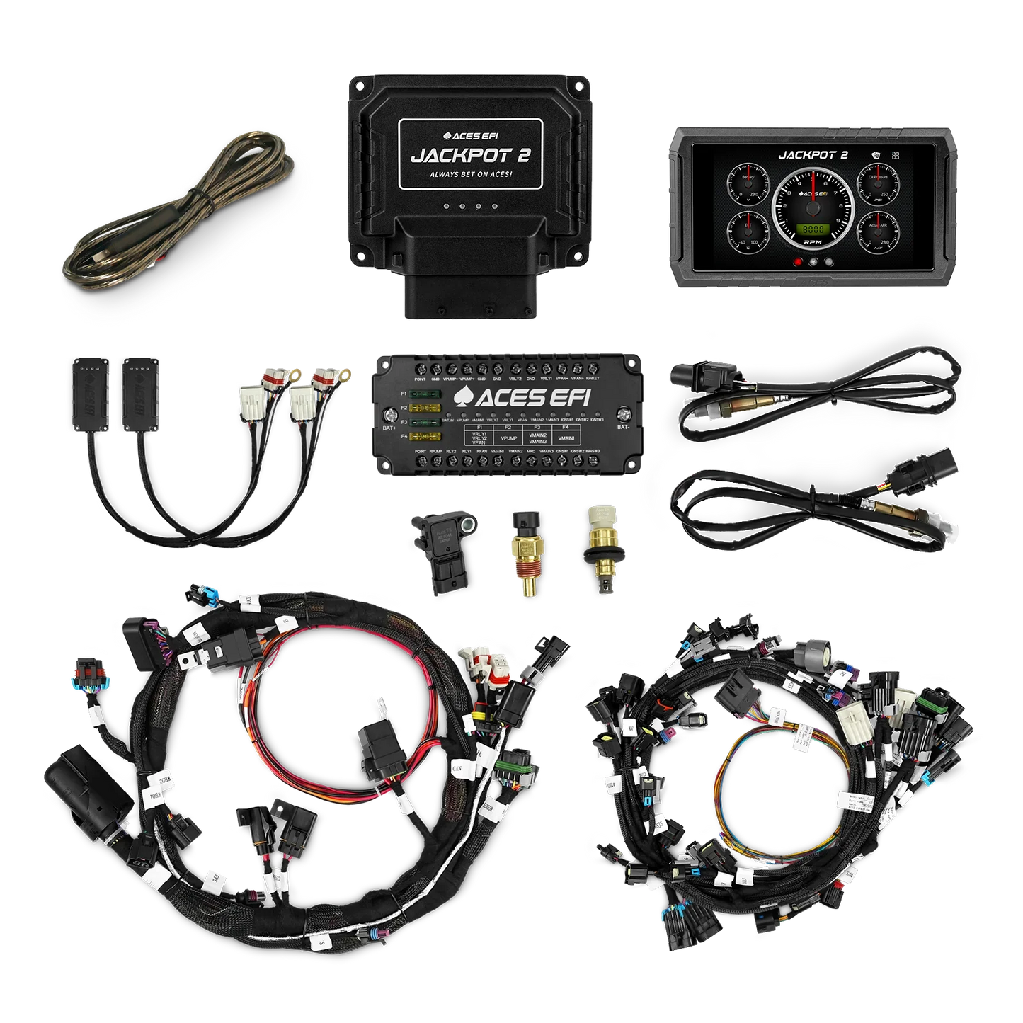 Jackpot 2 HEMI EFI System