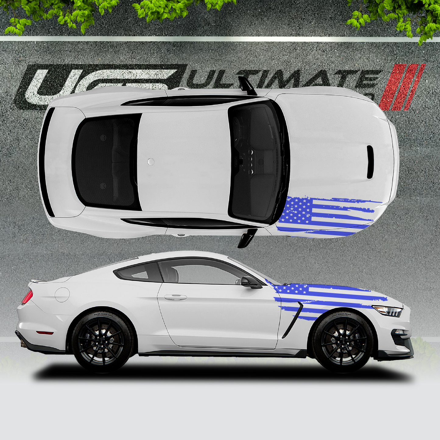 Ford Mustang Hood / Fender Graphics