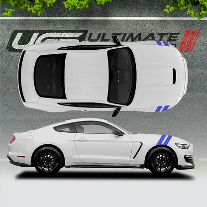 Ford Mustang Hood / Fender Graphics