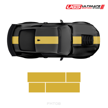 Ford Mustang Top 2 Color Strip