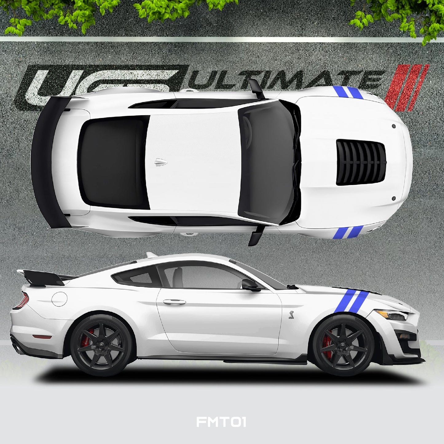 Ford Mustang Hood dual Stripe