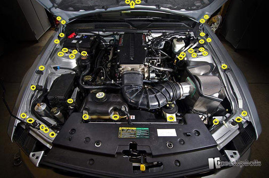 Stage 2 Titanium Hardware Engine Bay Kit - Ford Mustang (2005-2009)
