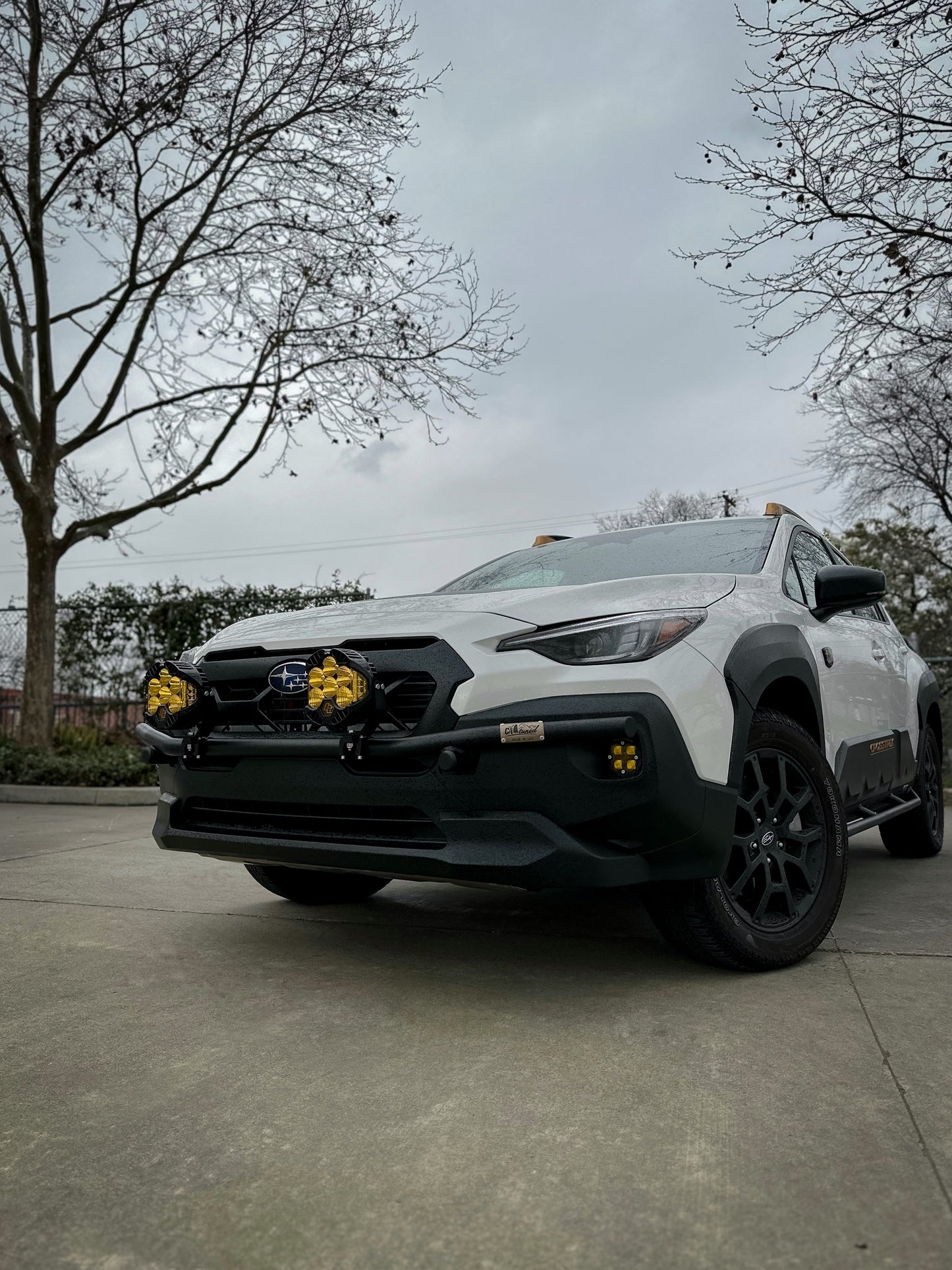 CAtuned Off-Road 2024+ Subaru Crosstrek Wilderness Brush Bar