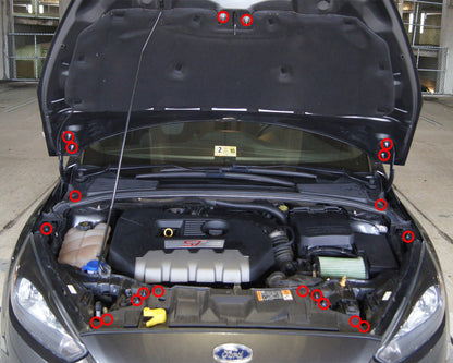 Ford Focus ST (2015-2018) Titanium Engine Bay Kit
