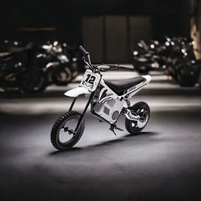Freddo 36V Electric Dirt Bike with Brushless Motor