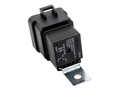 Relay (GW-EFI)