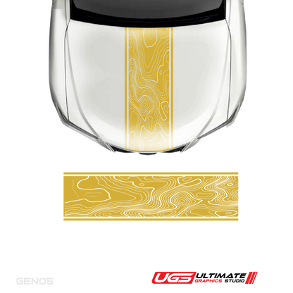 Hood Topography Graphic