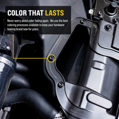 Titanium Hardware PRL Charge Pipe Kit - Honda Civic Si (2022+)