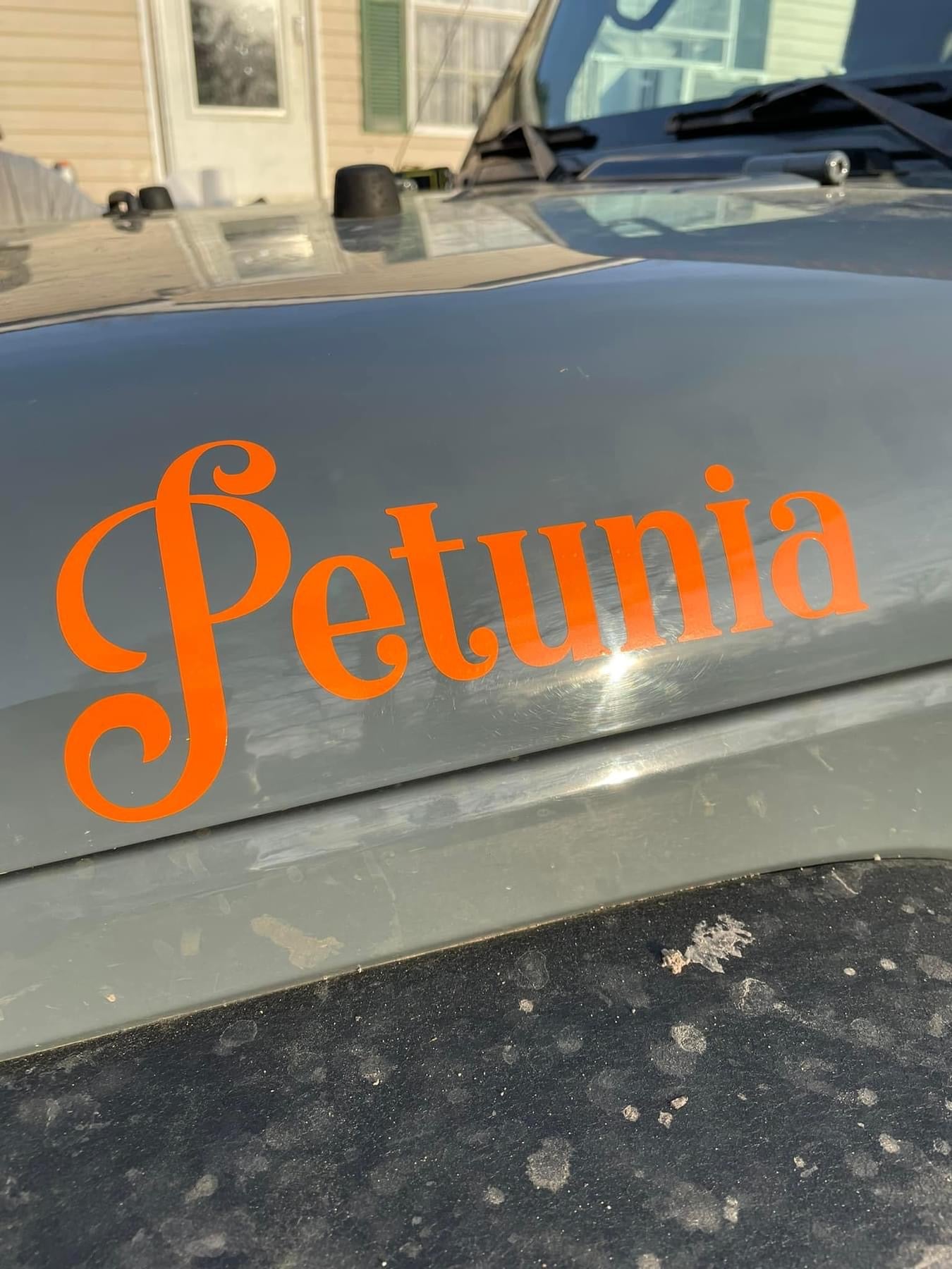 NEW! Custom Jeep Name Decals