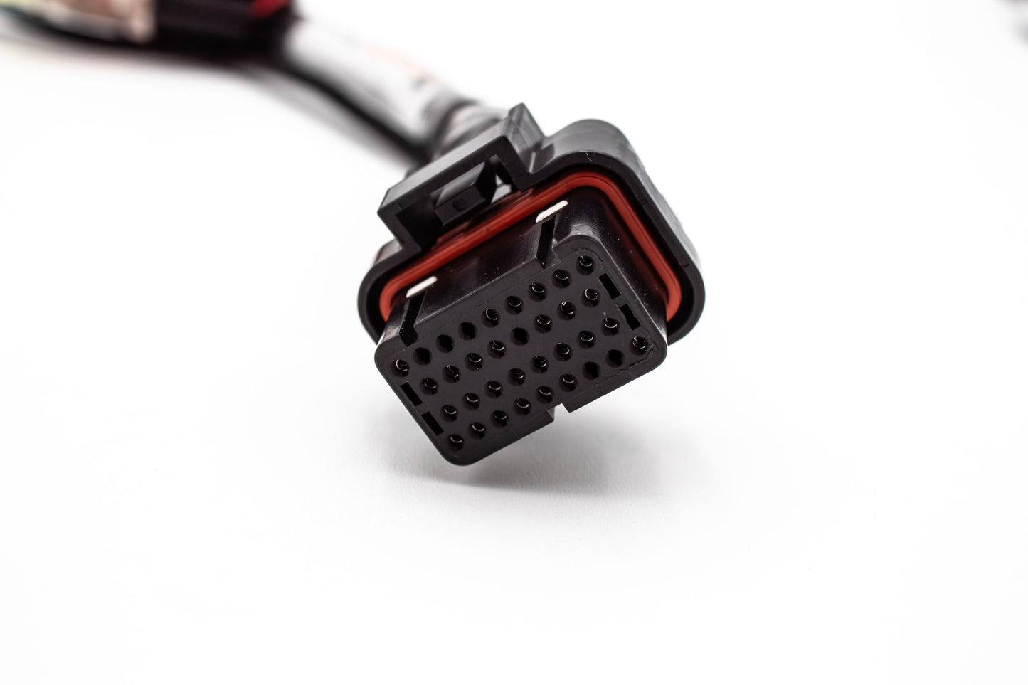 Haltech Elite 550/750 B Series & H Series Standalone Honda B18 B16 H22 H23 Jumper Adapter Sub Harness OBD1 | EG, Integra
