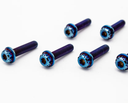 Burnt Titanium Intake Manifold Bolt Kit 12PT – M6 – VW / AUDI 1.8T - 10 pcs