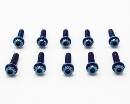 Burnt Titanium Intake Manifold Bolt Kit 12PT – M6 – VW / AUDI 1.8T - 10 pcs