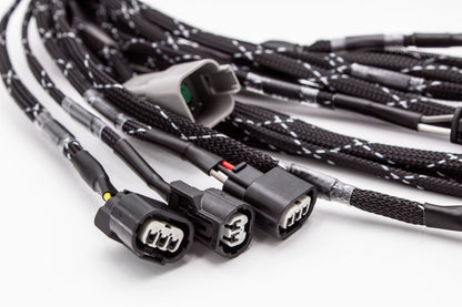 Fueltech FT450 Complete Standalone Honda K20 K24 Series Engine Harness