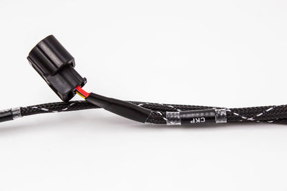 Fueltech FT450 Complete Standalone Honda K20 K24 Series Engine Harness