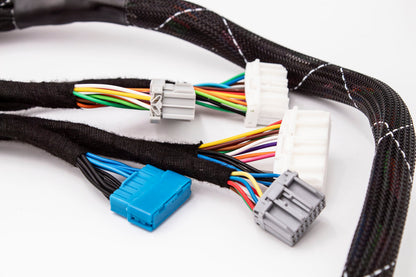 D & B-Series OBD1 Tucked Engine Harness Kit w/ Subharness | 88 - 91 EF CRX