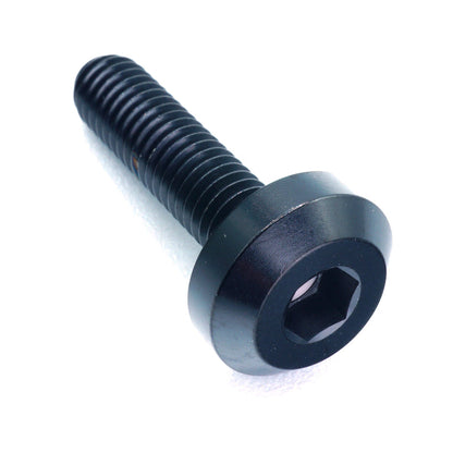 M6 x 1.00 x 24mm Titanium Motor Head Bolt