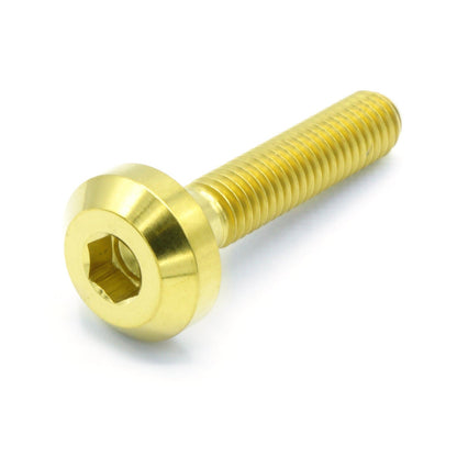 M6 x 1.00 x 30mm Titanium Motor Head Bolt