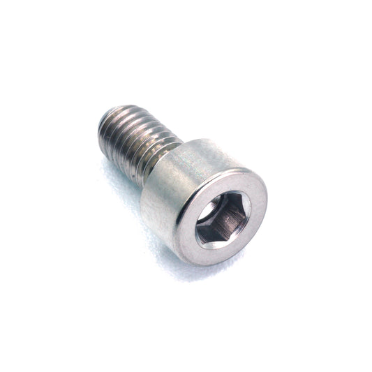 M5 x .8 x 10mm Titanium Socket Cap Bolt