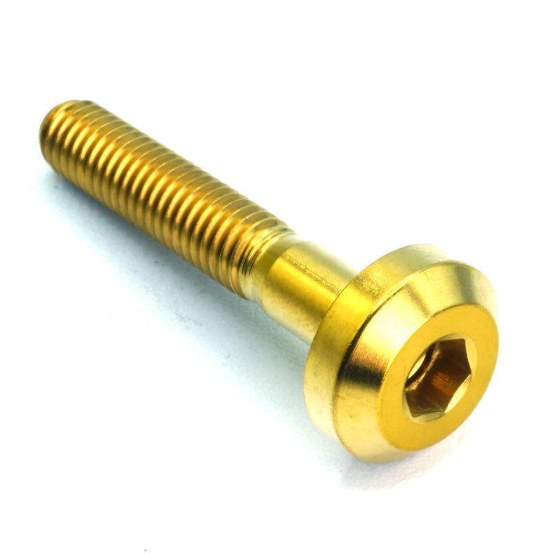 M6 x 1.00 x 35mm Titanium Motor Head Bolt