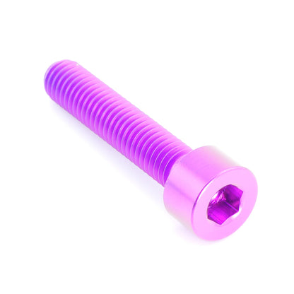 M5 x .8 x 25mm Titanium Socket Cap Bolt