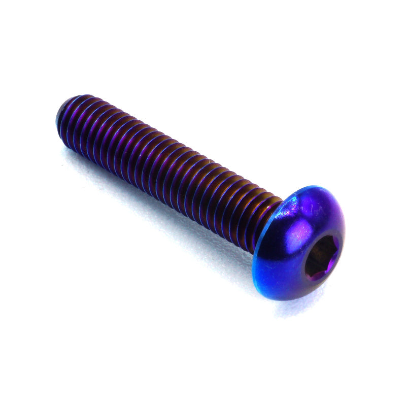 M5 x .8 x 25mm Titanium Button Head Bolt