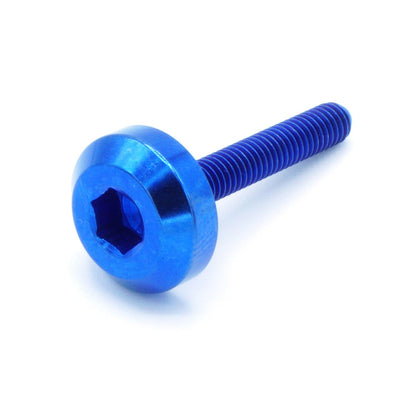 M4 x .7 x 25mm Titanium Motor Head Bolt