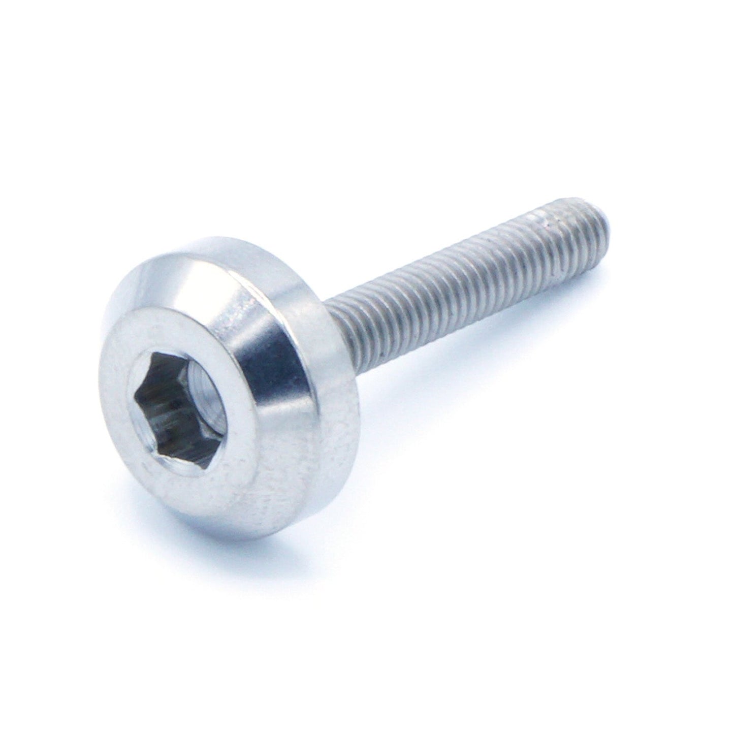 M4 x .7 x 25mm Titanium Motor Head Bolt