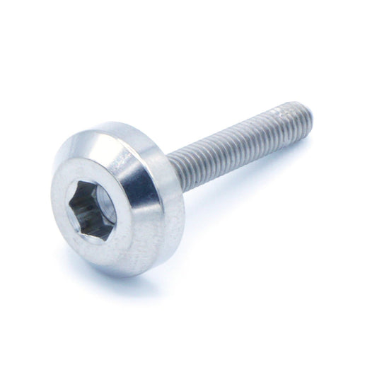 M4 x .7 x 25mm Titanium Motor Head Bolt
