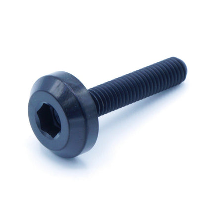 M5 x .8 x 25mm Titanium Motor Head Bolt
