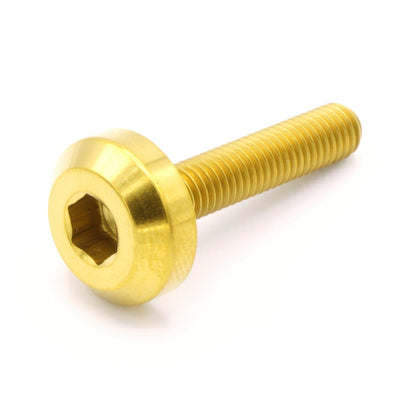 M5 x .8 x 25mm Titanium Motor Head Bolt