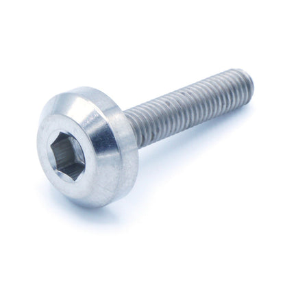 M5 x .8 x 25mm Titanium Motor Head Bolt