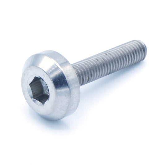 M5 x .8 x 25mm Titanium Motor Head Bolt