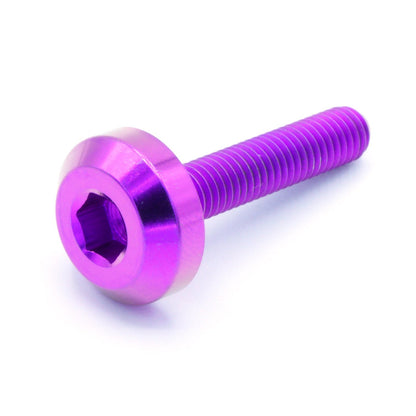 M5 x .8 x 25mm Titanium Motor Head Bolt