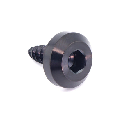 M5 x 2.0 x 15mm Titanium Motor Head Screw