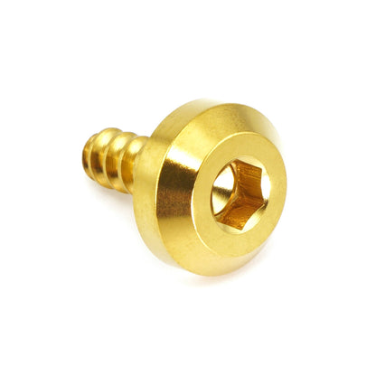 M5 x 2.0 x 15mm Titanium Motor Head Screw