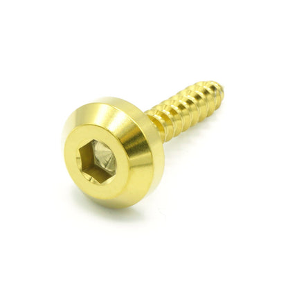 M5 x 2.0 x 25mm Titanium Motor Head Screw