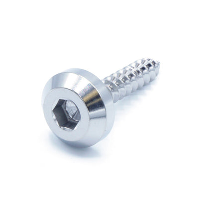 M5 x 2.0 x 25mm Titanium Motor Head Screw