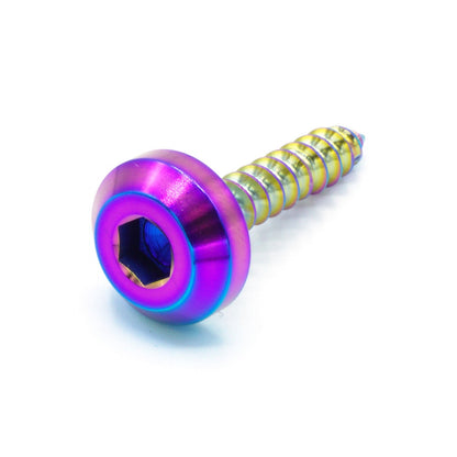 M5 x 2.0 x 25mm Titanium Motor Head Screw