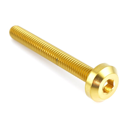 M6 x 1.00 x 50mm Titanium Motor Head Bolt