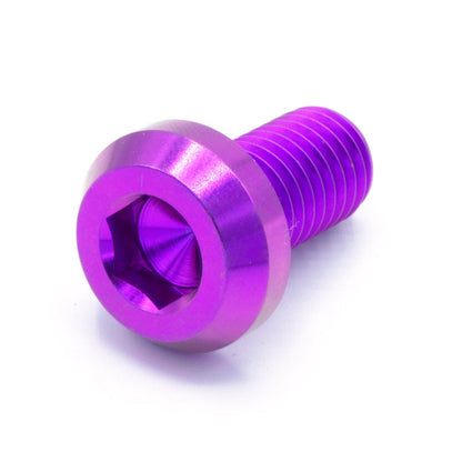 M10 x 1.50 x 20mm Titanium Motor Head Bolt