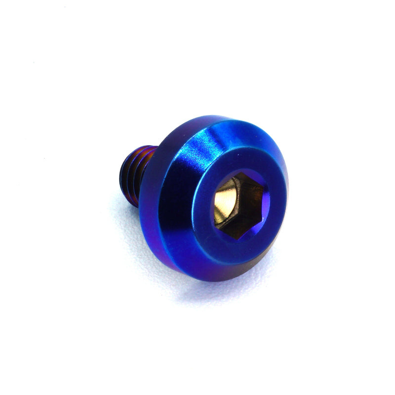 M6 x 1.00 x 10mm Titanium Motor Head Bolt