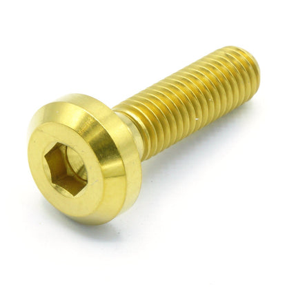 M8 x 1.25 x 35mm Titanium Motor Head Bolt