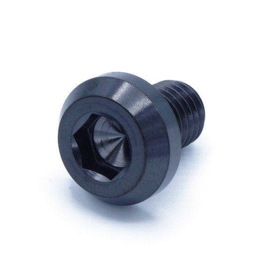 M10 x 1.25 x 15mm Titanium Motor Head Bolt